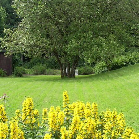 Farm Stay Heidehof Hellenthal Exterior photo