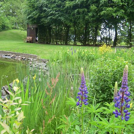 Farm Stay Heidehof Hellenthal Exterior photo