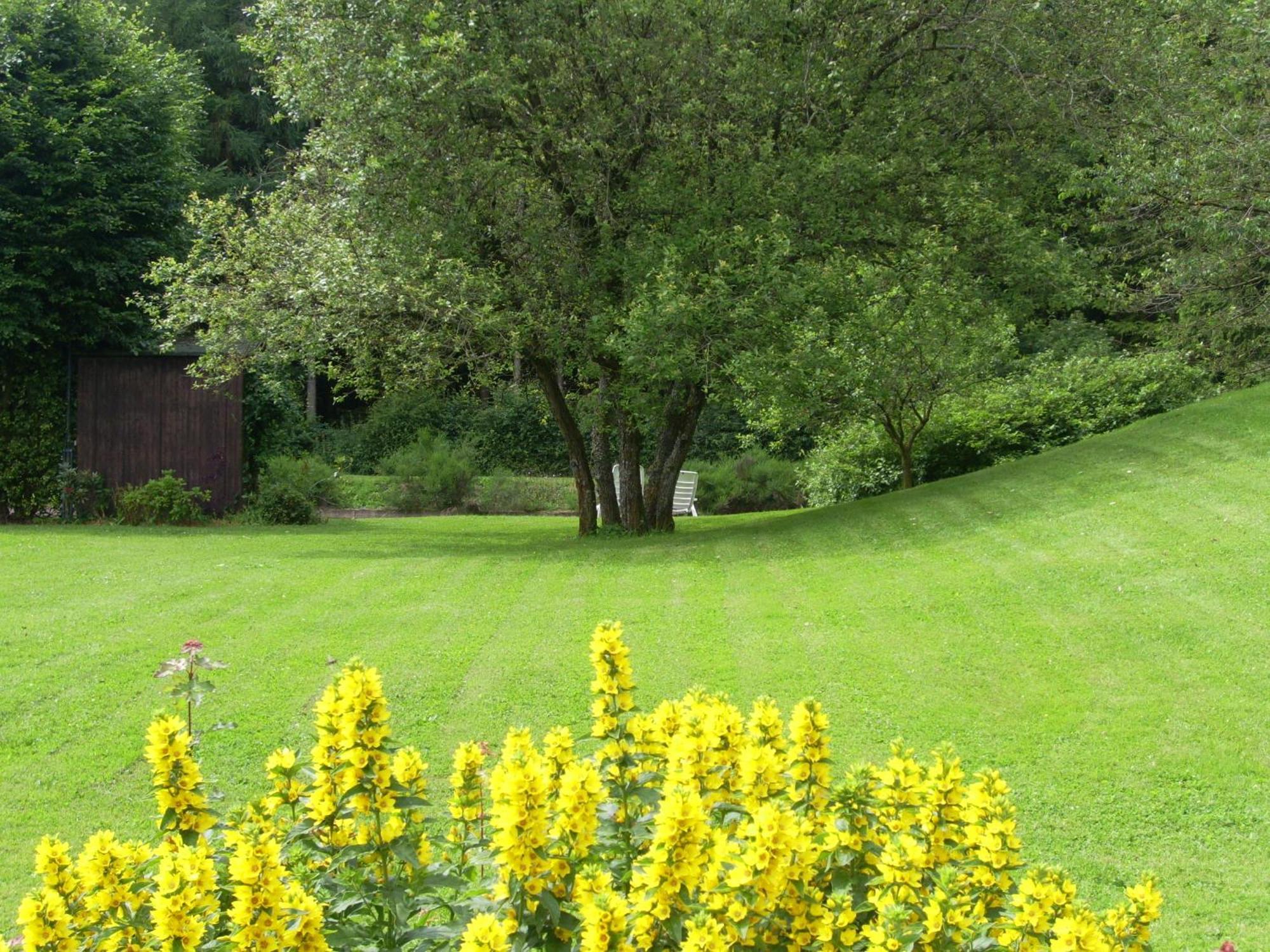 Farm Stay Heidehof Hellenthal Exterior photo