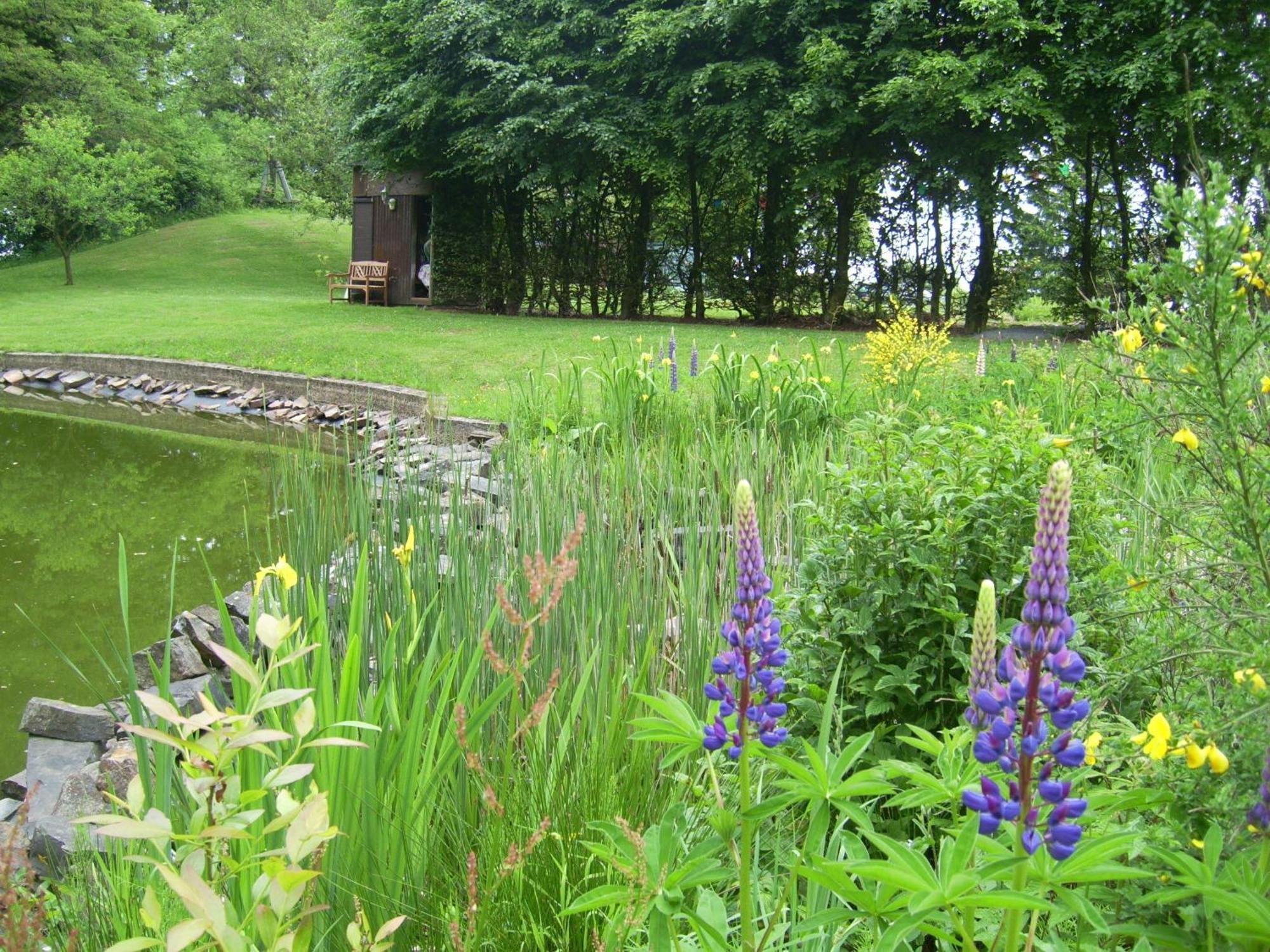 Farm Stay Heidehof Hellenthal Exterior photo